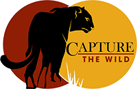 Capture The Wild